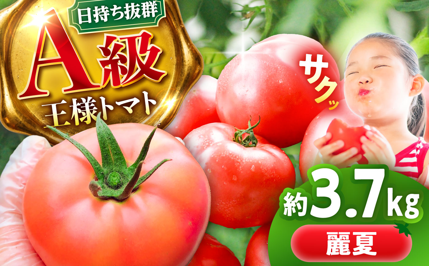 【7月上旬から順次発送】王様トマト 3.7kg 箱入り / トマト とまと 箱入り 3.7キロ 国産 / 恵那市 / 阿部農園 [AUGA005]