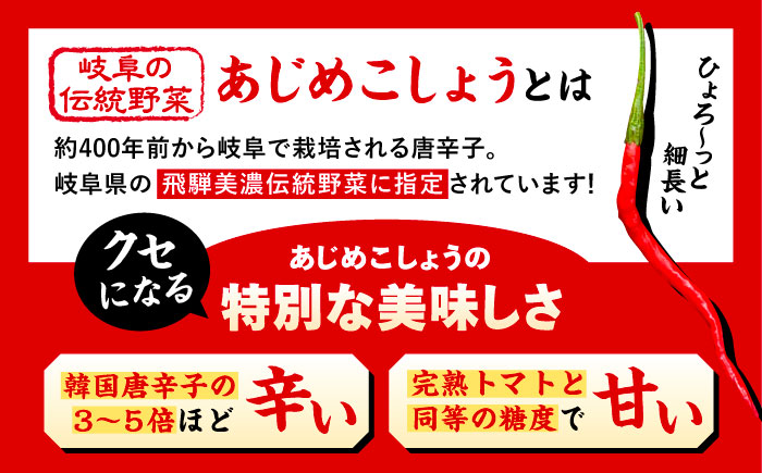 LGASIA（ルガシア） オリジナルスパイスAJIME　小瓶15g×6本?/?アウトドア キャンプ 調味料 料理?/ 恵那市 / ＭＡＣ [AUDM002]