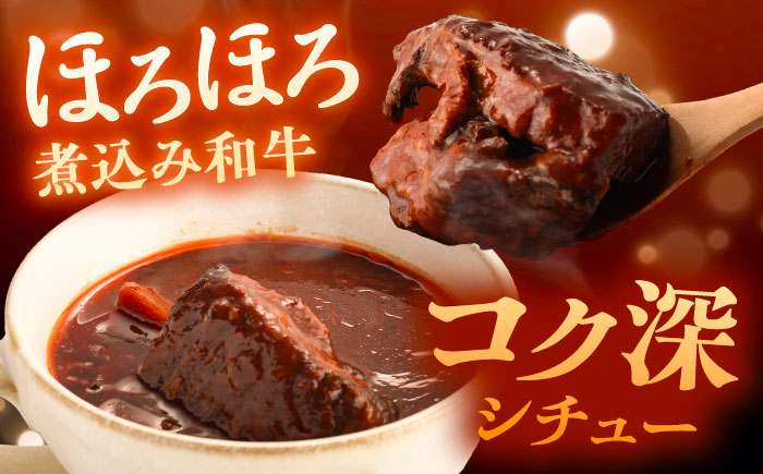 丸小本店 老舗肉屋厳選　行列のできるキッチントーキョーのビーフシチュー　1人前（250g）×2個セット / 惣菜 常備食 簡単調理 レトルト食品 / 恵那市 / テンポイント [AUFN025]