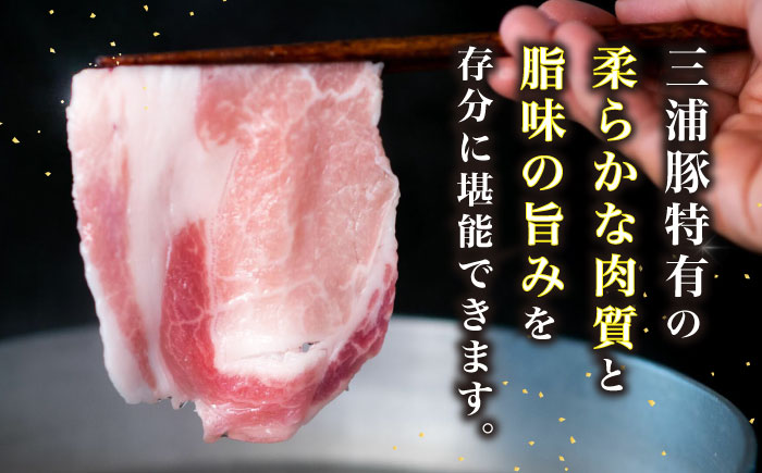 三浦豚 豚肉 ロース 薄切り 900g ブランド豚 国産 ポーク しゃぶしゃぶ 恵那市 / あづま精肉店 [AUDL004]