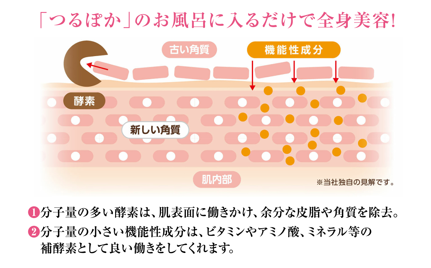 【3回定期便】うるおい入浴液「つるぽかエプソムソルト」 2L / お風呂 酵素風呂 乳酸菌 自然 / 恵那市 / 回生堂 [AUAU031]