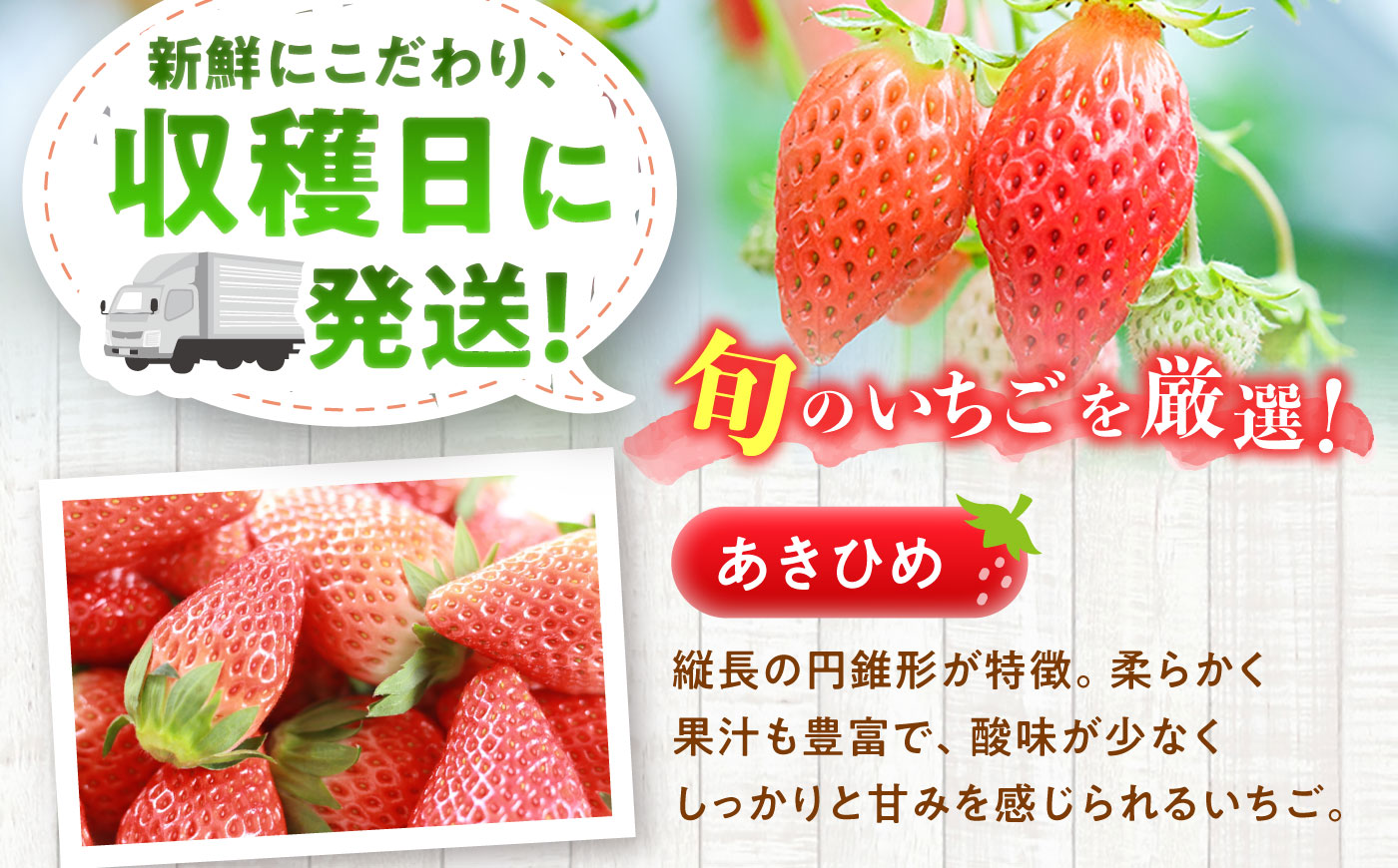 【先行予約・2027年1月上旬から順次発送】 いちご 250g×4パック / いちご 苺 イチゴ 国産 / 恵那市 / 阿部農園 [AUGA003]