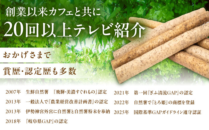 【伊勢神宮外宮奉納】　自然薯『ねばり勝ち』 1本入 / 自然薯 じねんじょ とろろ / 恵那市 / 水戸屋 [AUFZ007]