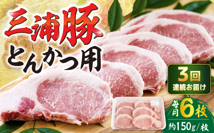 【3回定期便】 三浦豚 豚肉 ロース900ｇ（ステーキ/とんかつ用）/ ブランド豚 国産 ポーク とんかつ 恵那市 / あづま精肉店 [AUDL009]
