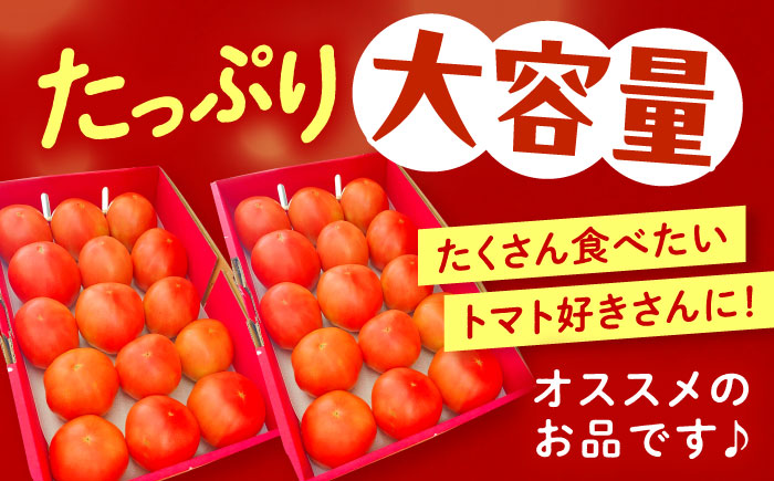 ＼受付終了間近！／【2025年7月中旬から10月下旬に順次発送】訳あり大玉トマト4kg / 朝採り 甘い 桃太郎 とまと / 恵那市 / クリエイティブファーマーズ [AUAH016]