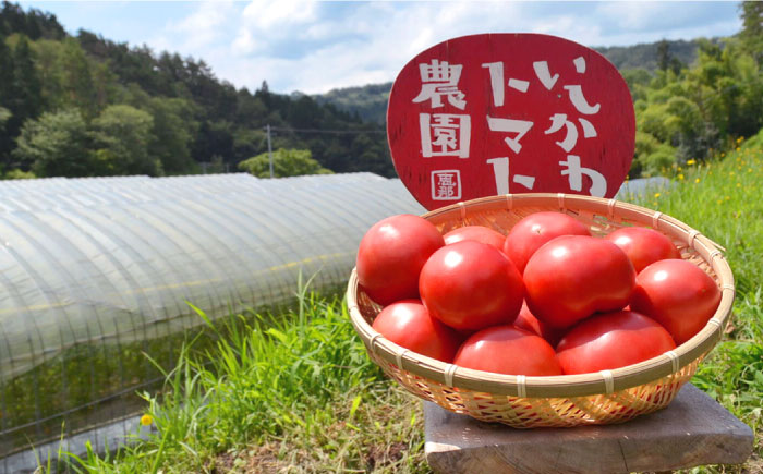 石川農園・愛情ぎゅっと詰め合わせセット / トマトケチャップ トマトソース パスタソース いちごジャム 国産 / 恵那市/クリエイティブファーマーズ [AUAH001]