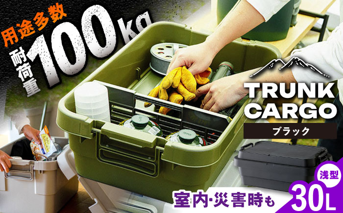 トランクカーゴ ブラック ロータイプM 1個 キャンプ ボックス 収納 アウトドア / 恵那市 / 東谷株式会社　明智流通センター [AUAD036]