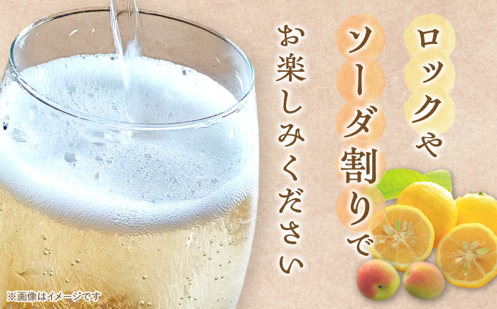 女城主 柚子酒と梅酒（各500ml）セット / 果実酒 ゆず酒 飲み比べ お酒 / 恵那市 / 岩村醸造 [AUAK001]