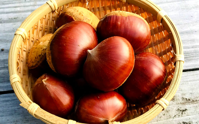 MontDeco Lab（モントデコ ラボ）モンブランケーキ 3個入り / モンブラン もんぶらん ケーキ ケーキ缶 ケーキ缶詰め モントデコ 栗ケーキ スイーツ 栗スイーツ 洋菓子 マロンケーキ お取り寄せ -もんかん- Mon Can / 恵那市 / MAC [AUDM043]