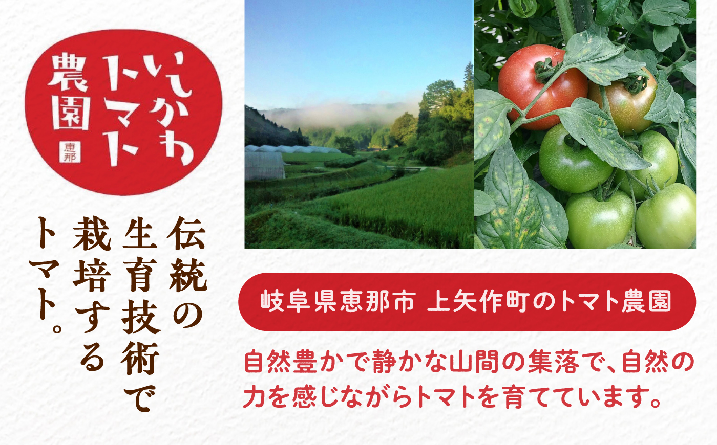 【2週間以内に発送！】【10月中旬まで受付】  訳あり大玉トマト4kg / 朝採り 甘い 桃太郎 とまと / 恵那市 / クリエイティブファーマーズ [AUAH016]