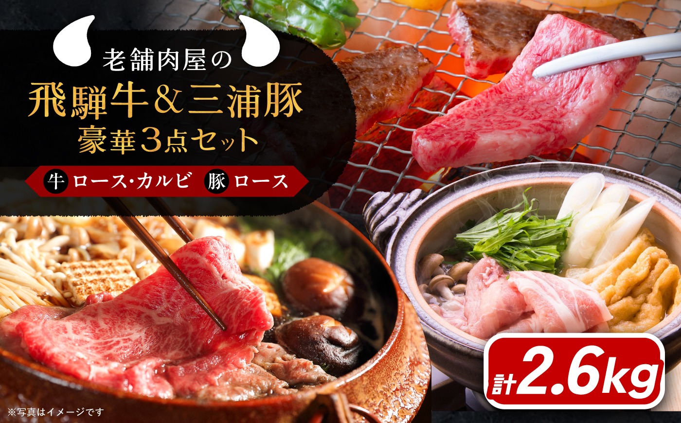 飛騨牛ロース1kg カルビ700g 三浦豚ロース900g 豪華3点セット 各種類1パック しゃぶしゃぶ・焼肉 和牛 国産 霜降り 恵那市 / 岩島屋 [AUAJ014]