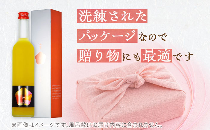 女城主 柚子酒と梅酒（各500ml）セット / 果実酒 ゆず酒 飲み比べ お酒 / 恵那市 / 岩村醸造 [AUAK001]