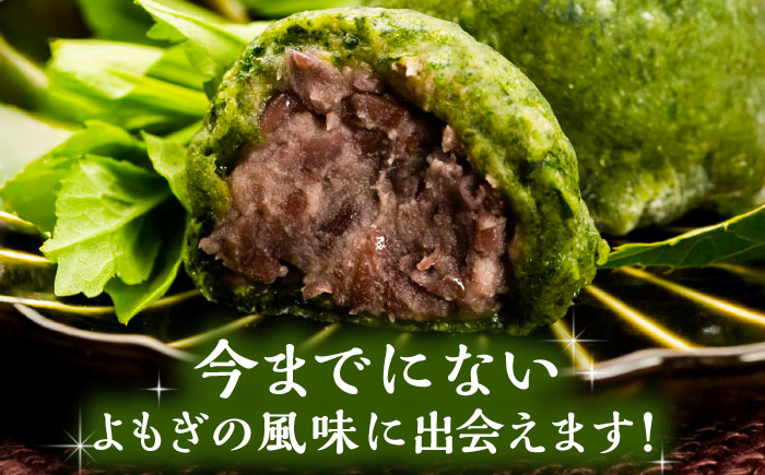 天然よもぎを使用した よもぎ大福10個 / よもぎ ヨモギ 大福 だいふく まんじゅう 和菓子 よもぎ餅 ヨモギ餅 もち / 恵那市 / 良平堂 [AUDB037]