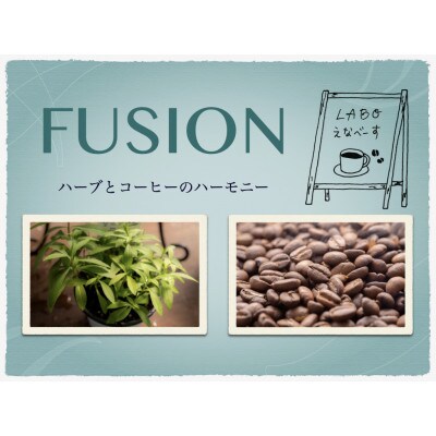 FUSION ハーブとコーヒーのハーモニー　6種類各1袋【1415230】