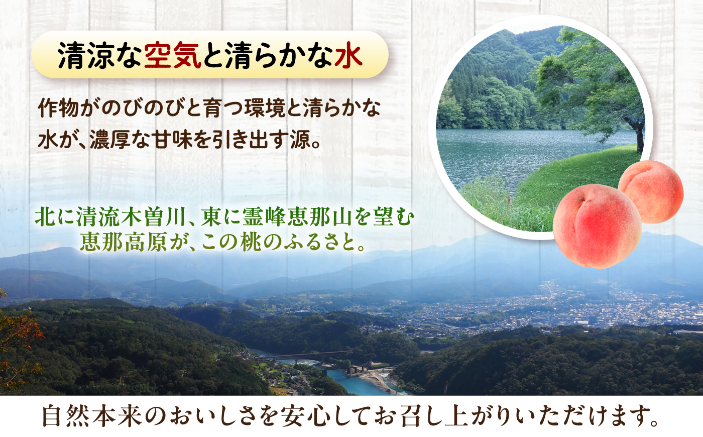 【先行予約 2026年7月下旬から8月下旬に順次発送】 桃 贈答用 特選 大玉 あかつき 2キロ（6～8玉入り）/ もも モモ くだもの 果物 ギフト 恵那市 / 馥郁農園 [AUCK008]