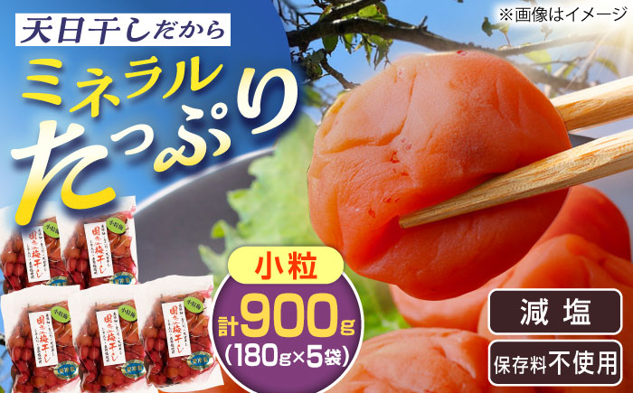 国産 小粒梅干し 計900g 180g×5袋 (天日干し・減塩・無添加) / 国産 梅干し 小粒 / 恵那市 / マルコ醸造 [AUCT008]