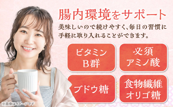 【12回定期便】 女城主 純米あま酒500ml（ノンアルコール）4本セット / 甘酒 あま酒 あまざけ ノンアルコール 米麹 / 恵那市 / 岩村醸造 [AUAK036]