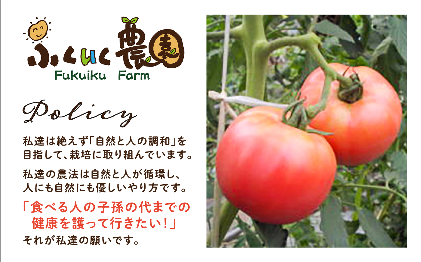 【先行予約】【7月中旬から10月下旬までに順次発送】【訳あり】 トマト 約2キロ / とまと 野菜 果物 訳アリ 恵那市 / 馥郁農園 [AUCK013]