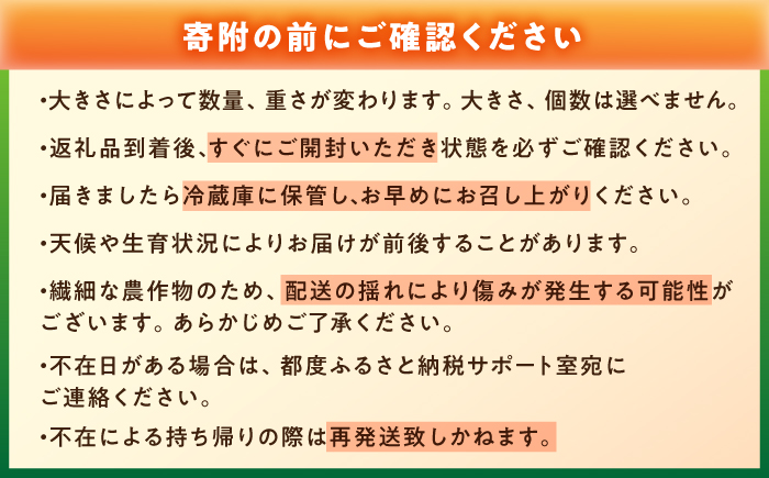【先行予約】【7月中旬から10月下旬までに順次発送】【訳あり】 トマト 約2キロ / とまと 野菜 果物 訳アリ 恵那市 / 馥郁農園 [AUCK013]