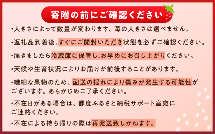 【先行予約・2027年1月上旬から順次発送】 いちご 250g×4パック / いちご 苺 イチゴ 国産 / 恵那市 / 阿部農園 [AUGA003]