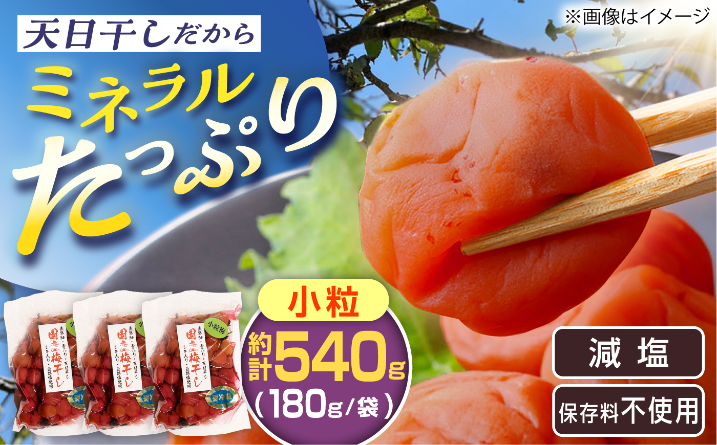 国産 小粒梅干し 計540g 180g×3袋 (天日干し・減塩・保存料不使用) / 国産 梅干し 小粒 / 恵那市 / マルコ醸造 [AUCT027]