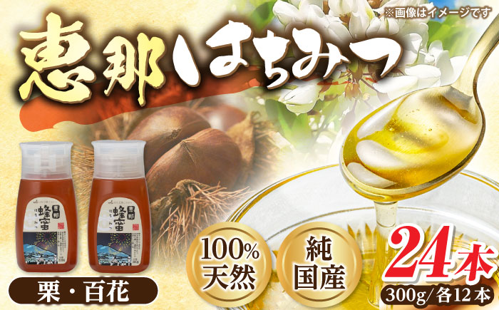恵那蜂蜜 24本セット (百花蜂蜜300g×12本、栗蜂蜜300g×12本) 国産 はちみつ 岐阜 恵那市 / はち工房こうけつ [AUDF045]