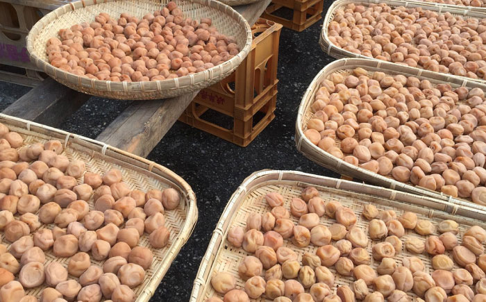 国産 小粒梅干し 計900g 180g×5袋 (天日干し・減塩・無添加) / 国産 梅干し 小粒 / 恵那市 / マルコ醸造 [AUCT008]