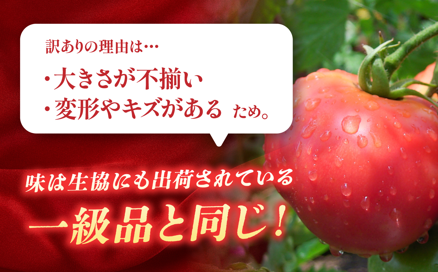 【先行予約】【7月中旬から10月下旬までに順次発送】【訳あり】 トマト 約2キロ / とまと 野菜 果物 訳アリ 恵那市 / 馥郁農園 [AUCK013]