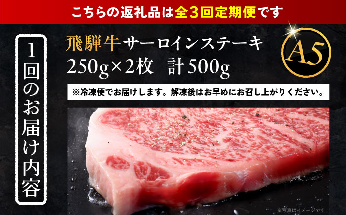 【3回定期便】 飛騨牛 サーロインステーキ (A5ランク) 250g×2枚 和牛 国産 霜降り 恵那市 / 岩島屋 [AUAJ027]