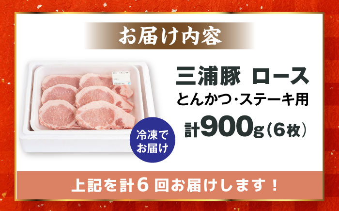 【6回定期便】 三浦豚 豚肉 ロース900ｇ（ステーキ/とんかつ用）/ ブランド豚 国産 ポーク とんかつ 恵那市 / あづま精肉店 [AUDL010]