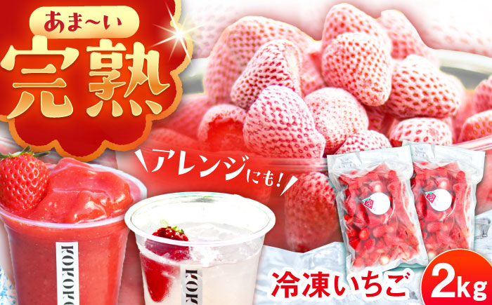 冷凍いちご 2kg / 苺 いちご イチゴ 冷凍 冷凍イチゴ 冷凍苺 / 恵那市 クリエイティブファーマーズ [AUAH024]