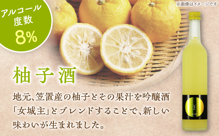 女城主 柚子酒と梅酒（各500ml）セット / 果実酒 ゆず酒 飲み比べ お酒 / 恵那市 / 岩村醸造 [AUAK001]