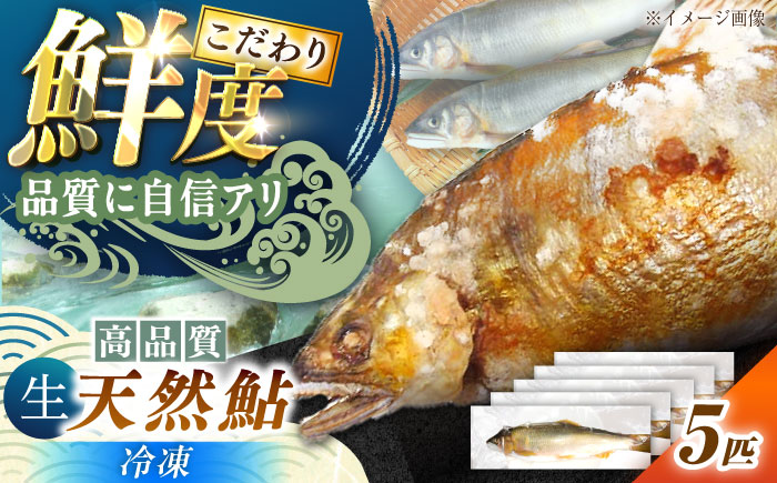 ＜冷凍＞天然あゆ 18〜20cm 5匹入り / あゆ 天然 鮎 冷凍 / 恵那市 / 恵那物産館 [AUFS009]