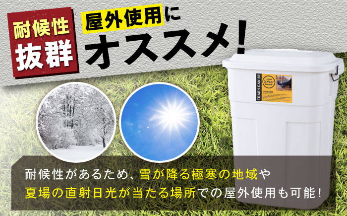 トラッシュカン ゴミ箱 ふた付き 30L ホワイト 2個組 / ダストボックス ゴミ箱 ごみ箱 / 恵那市 / 東谷株式会社 明智流通センター [AUAD069]