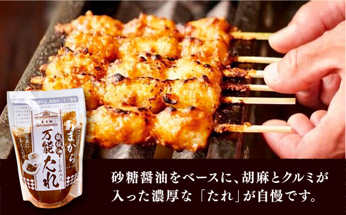 家庭で作る五平餅体験セット! 焼き器、秘伝の万能たれ×2、竹串10本付き / 砂糖醤油 くるみ 団子 濃厚 / 恵那市 / あまから [AUAE004]