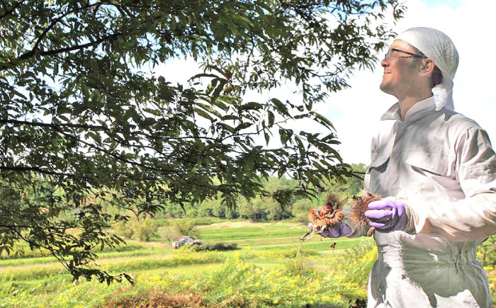 恵那蜂蜜 2本 ギフト箱入りセット (栗蜂蜜300g×1本、百花蜂蜜300g×1本) 国産 はちみつ 岐阜 恵那市 / はち工房こうけつ [AUDF004]