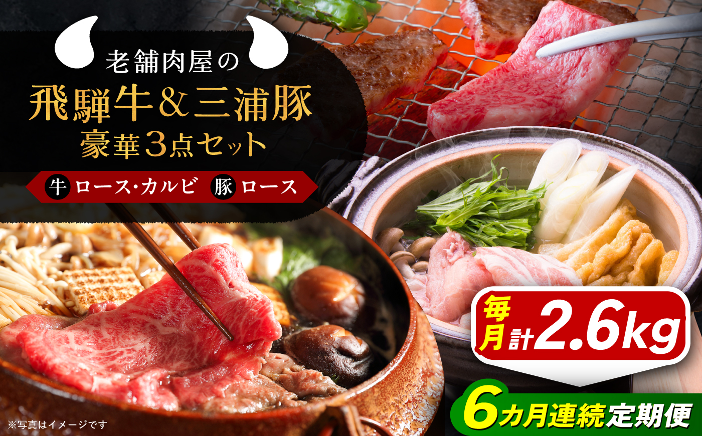 【6回定期便】 飛騨牛ロース1kg カルビ700g 三浦豚ロース900g 豪華3点セット 各種類1パック しゃぶしゃぶ・焼肉 和牛 国産 霜降り 恵那市 / 岩島屋 [AUAJ031]