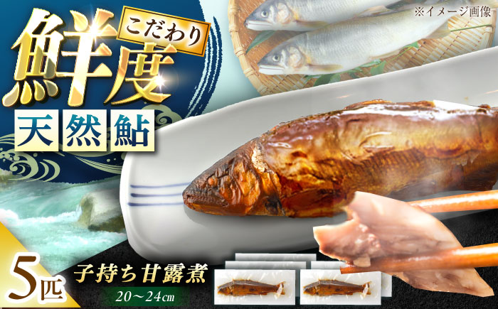 子持ち天然あゆの甘露煮 5匹セット / あゆ 天然 鮎 甘露煮 / 恵那市 / 恵那物産館 [AUFS005]