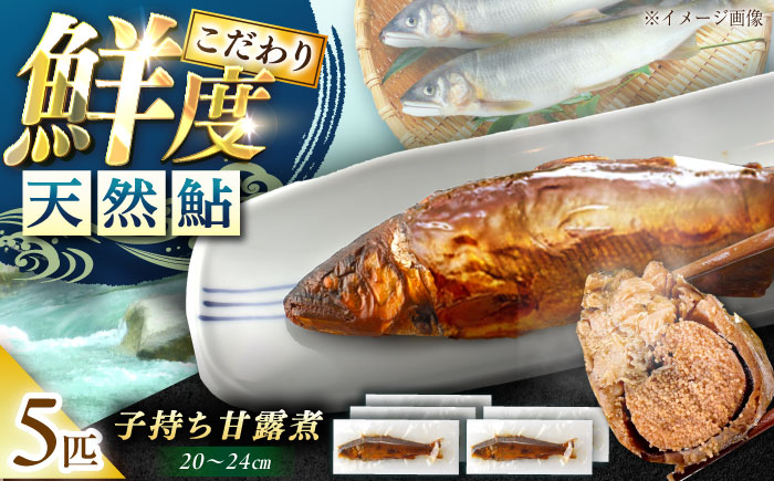 【スピード配送】子持ち天然あゆの甘露煮 5匹セット / あゆ 天然 鮎 甘露煮 / 恵那市 / 恵那物産館 [AUFS005]