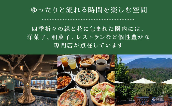 ガトーフロマージュ / チーズケーキ ちーず ケーキ スイーツ 洋菓子 ギフト / 恵那市 / 銀の森 [AUBG058]