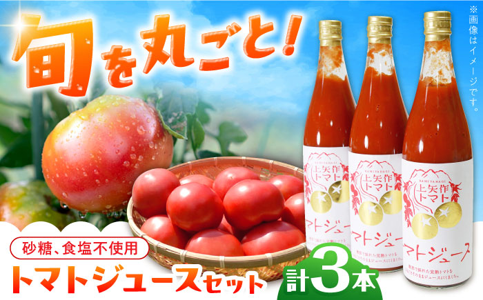 石川農園 みんなで飲もっか！トマトジュースセットＥ / 完熟トマト とまと 健康 美肌 ビタミン / 恵那市 / クリエイティブファーマーズ [AUAH003]