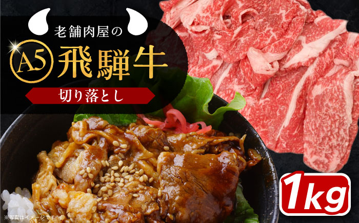 【年内発送】飛騨牛 切り落とし肉 A5ランク 1kg 和牛 国産 霜降り 恵那市 / 岩島屋 [AUAJ015]