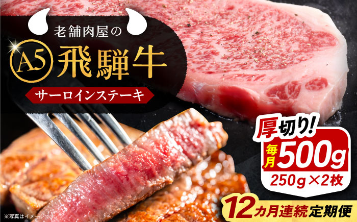 【12回定期便】 飛騨牛 サーロインステーキ (A5ランク) 250g×2枚 和牛 国産 霜降り 恵那市 / 岩島屋 [AUAJ029]