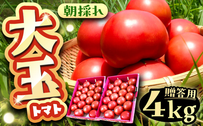 【先行予約】大玉トマト(贈答用) 4kg 産地直送 とまと トマト【7月より順次発送】 恵那市 / クリエイティブファーマーズ [AUAH013]