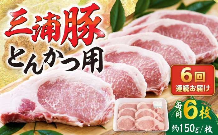 【6回定期便】 三浦豚 豚肉 ロース900ｇ（ステーキ/とんかつ用）/ ブランド豚 国産 ポーク とんかつ 恵那市 / あづま精肉店 [AUDL010]