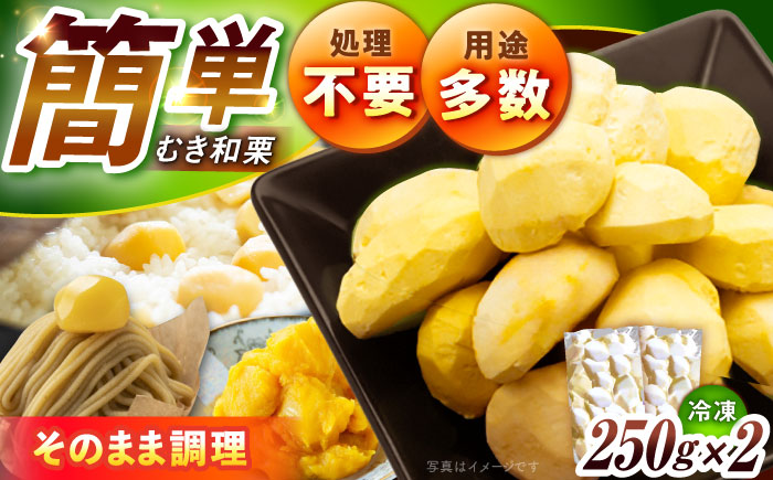 冷凍むき栗「日本栗」 計500g（250g×2P）/ 栗 くり 日本栗 むき栗 岐阜 恵那 / 恵那市 / えな笠置山栗園 [AUAV005]