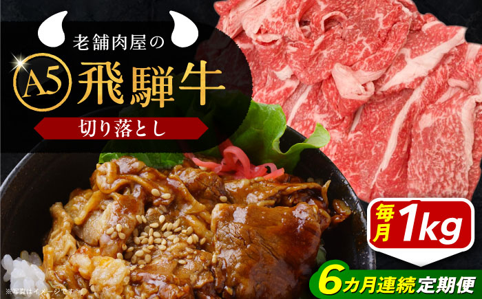 【6回定期便】 飛騨牛 切り落とし肉 A5ランク 1kg 和牛 国産 霜降り 恵那市 / 岩島屋 [AUAJ034]