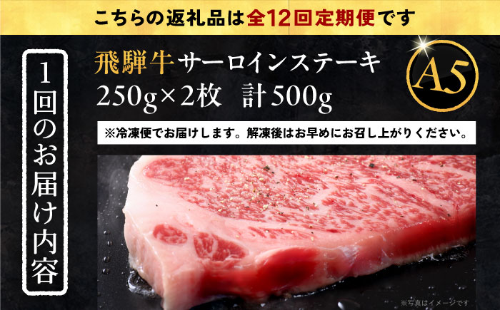 【12回定期便】 飛騨牛 サーロインステーキ (A5ランク) 250g×2枚 和牛 国産 霜降り 恵那市 / 岩島屋 [AUAJ029]