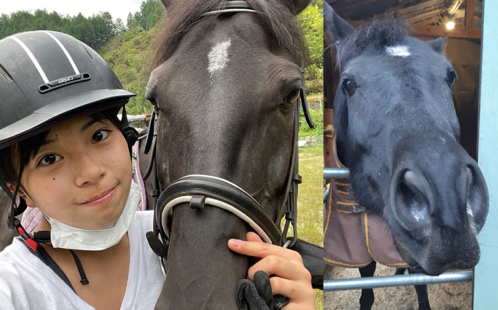 乗馬体験券（ふれあい、30分程度の乗馬）1名分 チケット 馬 岐阜 恵那市 / ベルの家 [AUCN001]