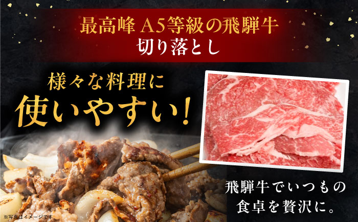 【年内発送】飛騨牛 切り落とし肉 A5ランク 1kg 和牛 国産 霜降り 恵那市 / 岩島屋 [AUAJ015]